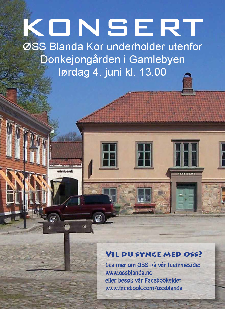 Plakat Gamlebyen 04062016